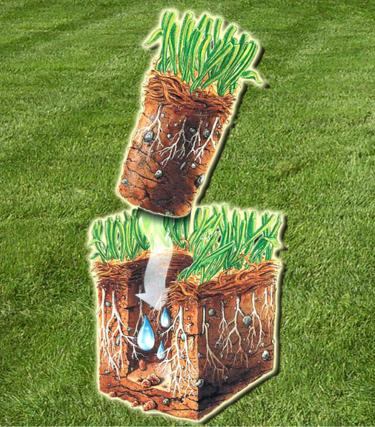 Illustration showing how aeration opens soil and improves water movement